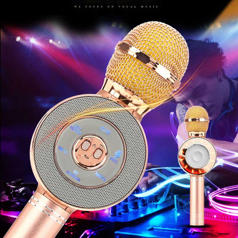 میکروفون اسپیکر وستر WS-668 Original