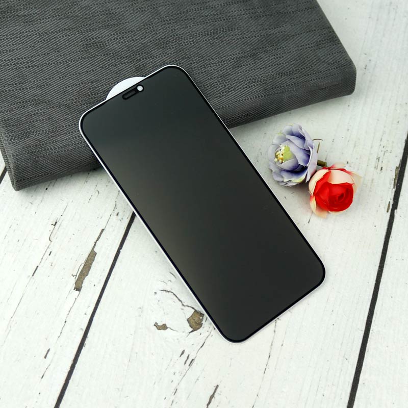 گلس تمام صفحه Anti Dust آیفون iPhone 12 Pro Max