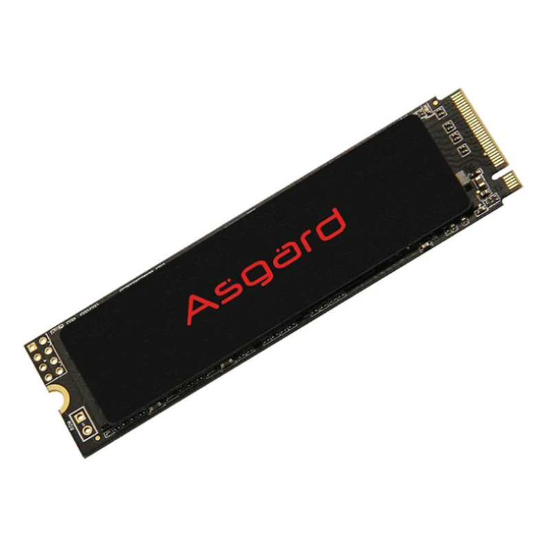 حافظه SSD ازگارد Asgard AN2 1TB M.2