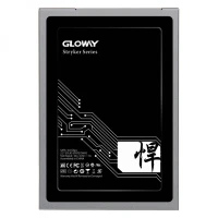 حافظه SSD گلووی Gloway Stryker Series 120GB