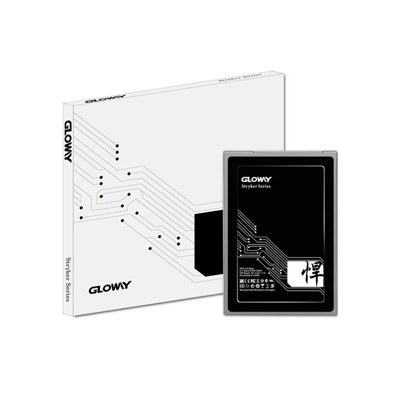 حافظه SSD گلووی Gloway Stryker Series 120GB