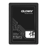 حافظه SSD گلووی Gloway Stryker Series 240GB