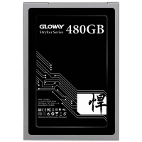 حافظه SSD گلووی Gloway Stryker Series 480GB