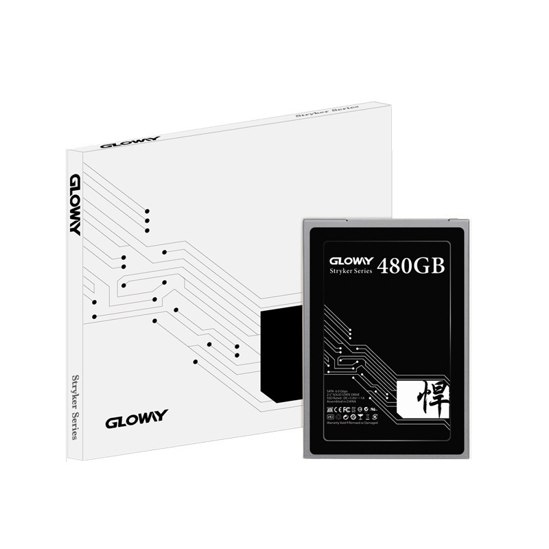 حافظه SSD گلووی Gloway Stryker Series 480GB