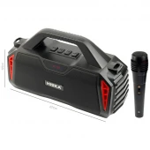 اسپیکر بلوتوثی رم و فلش خور Hiska B159M + میکروفون