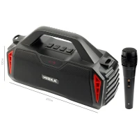 اسپیکر بلوتوثی رم و فلش خور Hiska B159M + میکروفون