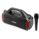 اسپیکر بلوتوثی رم و فلش خور Hiska B159M + میکروفون