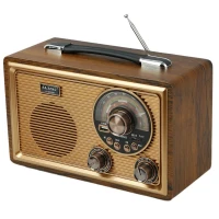 رادیو اسپیکر بلوتوثی رم و فلش خور Raiseng R-9022BT