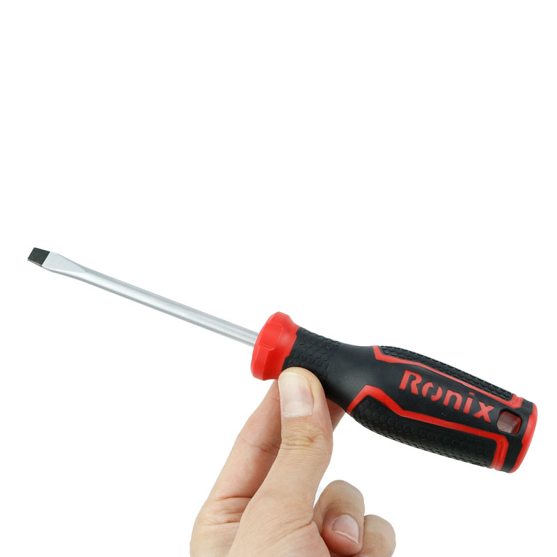 پیچ گوشتی دوسو Ronix RH-2746 6*100mm