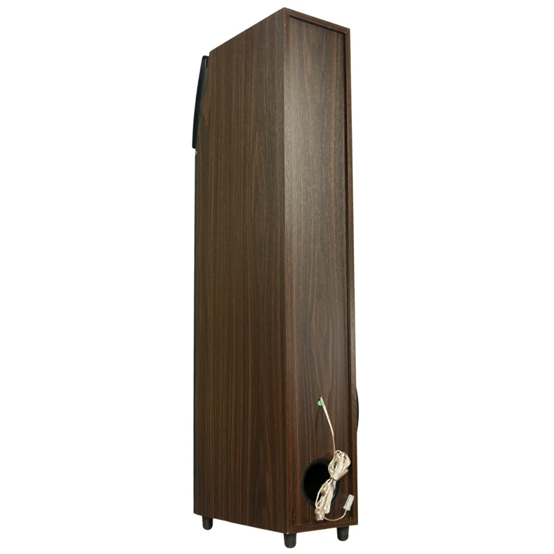 اسپیکر خانگی ایستاده TSCO TS 2040 + ریموت کنترل