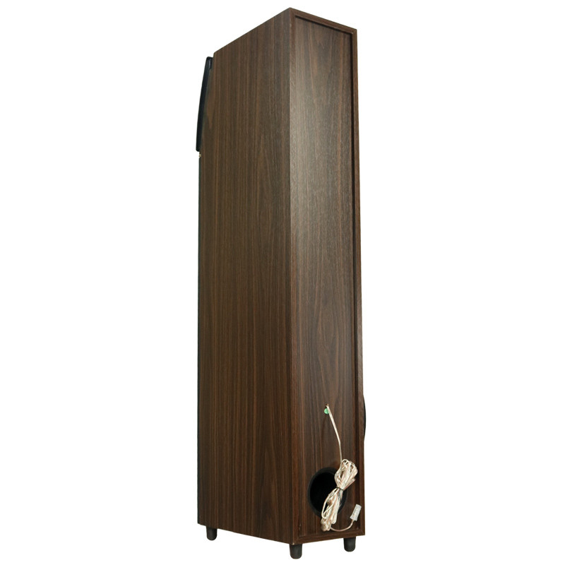 اسپیکر خانگی ایستاده TSCO TS 2040 + ریموت کنترل