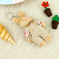 جاکلیدی خرگوش لباس دار پسر