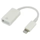 تبدیل OTG لایتنینگ به JH-0514 USB