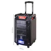 اسپیکر چمدانی بلوتوثی رم و فلش خور ProOne PSB4955 + میکروفون و ریموت کنترل