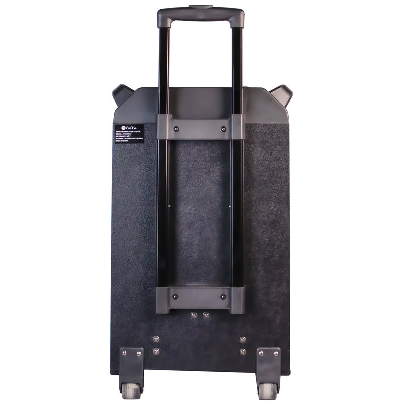 اسپیکر چمدانی بلوتوثی رم و فلش خور ProOne PSB4965 + میکروفون و ریموت کنترل