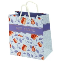 ساک دستی مقوایی کد 55