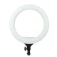 رینگ لایت 14 اینچ Hero YQ-360A