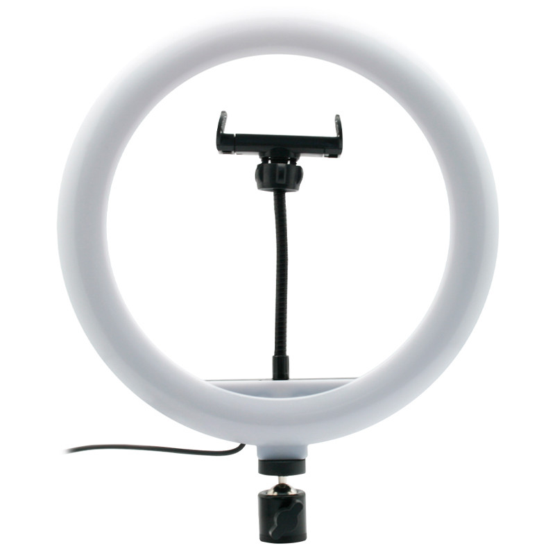 رینگ لایت 10 اینچ Ring Fill Light ZMX-260