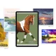 تبلت سامسونگ "Samsung Galaxy Tab S7 FE SM-T736 5G 64GB 12.4
