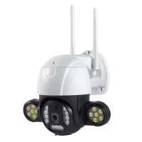 دوربین مینی اسپید دام وای فای Mini Speed Dome Wifi P30 V380 Pro Starlight