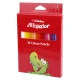 مداد رنگی 36 رنگ الیگیتور Alligator No.614156