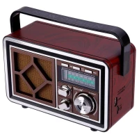 رادیو اسپیکر بلوتوثی رم و فلش خور Golon RX-BT067