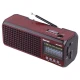 رادیو اسپیکر بلوتوثی رم و فلش خور Kemai MD-305BT