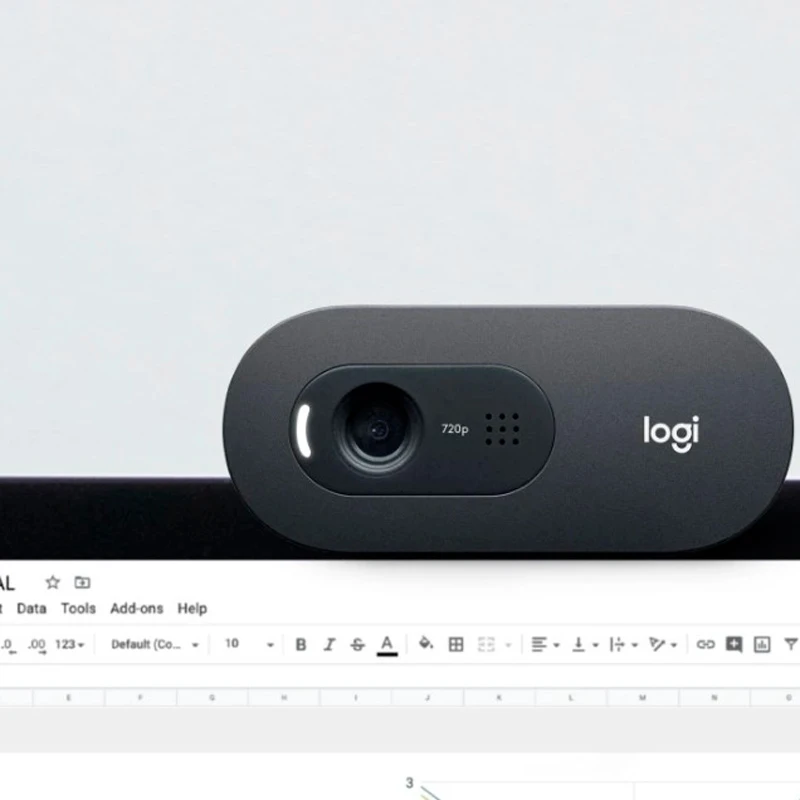 وبکم Logitech C505E HD