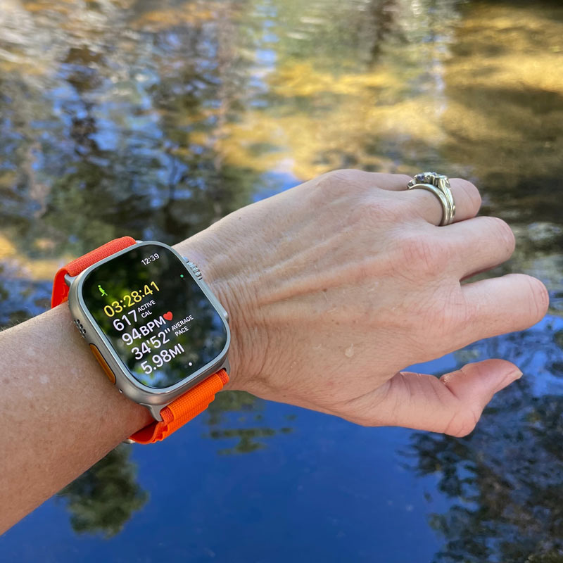 ساعت هوشمند اپل سری Apple Watch 49mm Titanium Case Alpine Loop Band GPS + Cellular Ultra