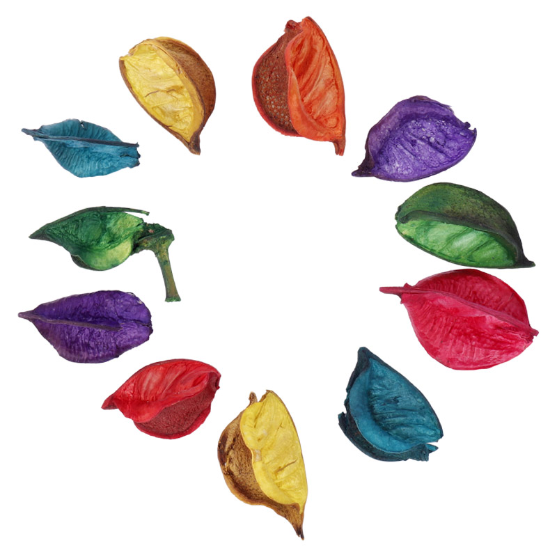 گل خشک تزئینی