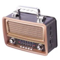 رادیو اسپیکر بلوتوثی رم و فلش خور Meier M-1919BT