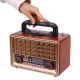 رادیو اسپیکر بلوتوثی ان ان اس NS-2075BT