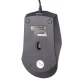 موس Philips M104