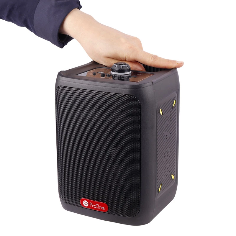اسپیکر بلوتوثی رم و فلش خور ProOne PSB4902