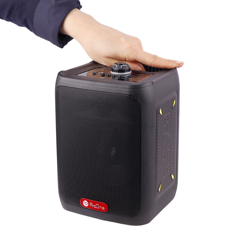 اسپیکر بلوتوثی رم و فلش خور ProOne PSB4902