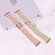 بند Watch Band اپل واچ 38/40/41mm کد 4