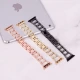بند Watch Band اپل واچ 38/40/41mm کد 5