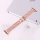 بند Watch Band اپل واچ 42/44/45mm کد 3