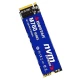 حافظه SSD بایوستار Biostar M760 256GB M.2