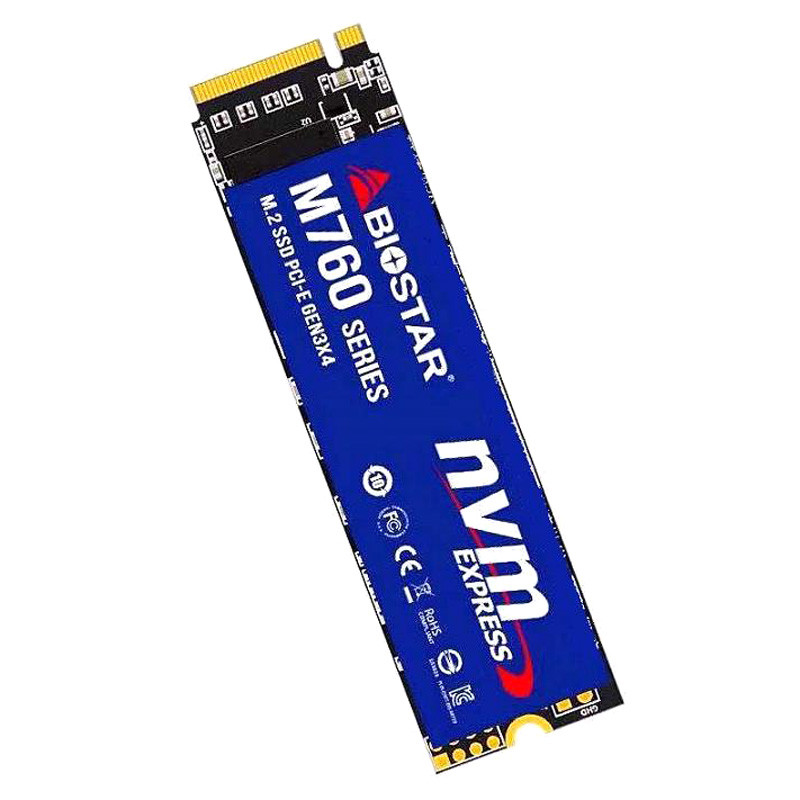 حافظه SSD بایوستار Biostar M760 256GB M.2