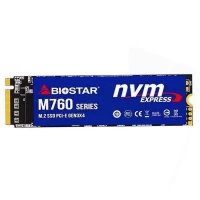 حافظه SSD بایوستار Biostar M760 256GB M.2