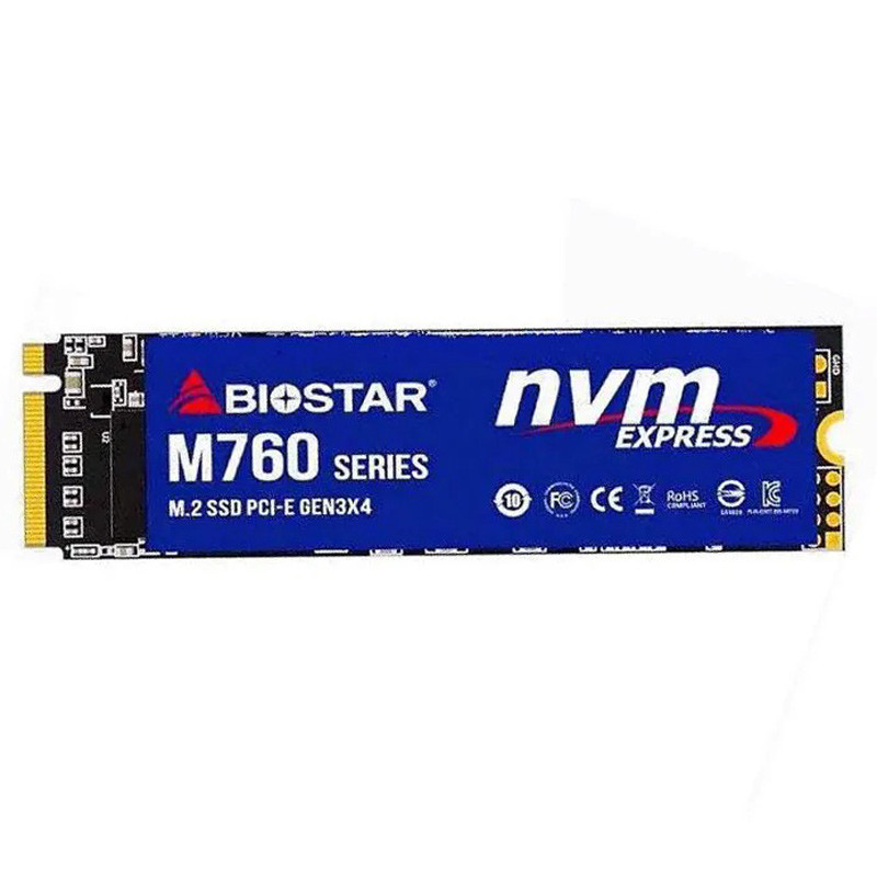 حافظه SSD بایوستار Biostar M760 256GB M.2