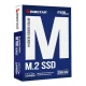 حافظه SSD بایوستار Biostar M760 256GB M.2