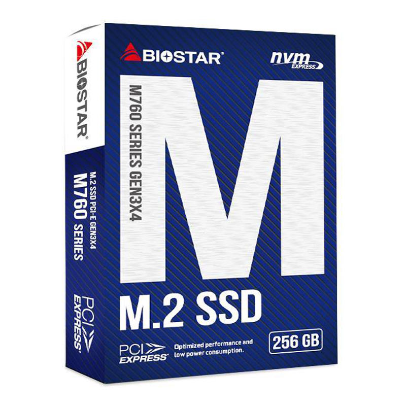 حافظه SSD بایوستار Biostar M760 256GB M.2