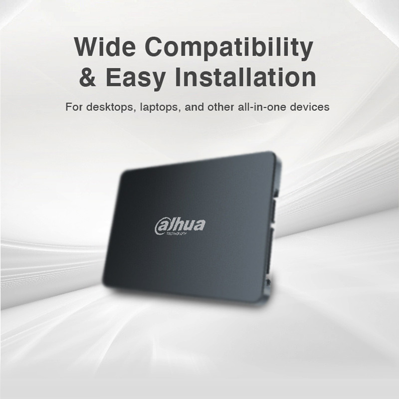 حافظه SSD داهوا Dahua C800A 256GB