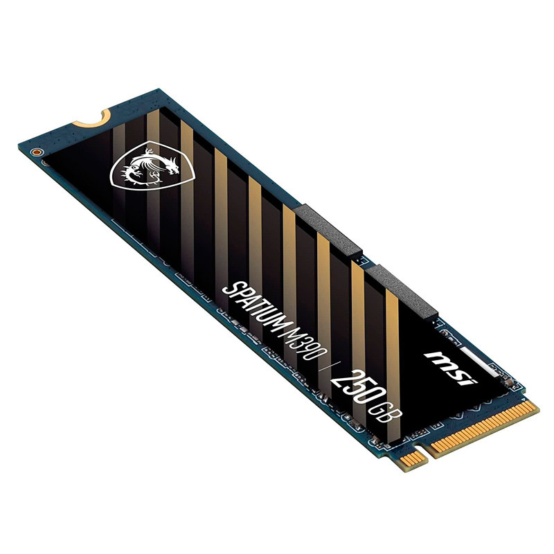 حافظه SSD ام اس آی MSI Spatium M390 250GB M.2