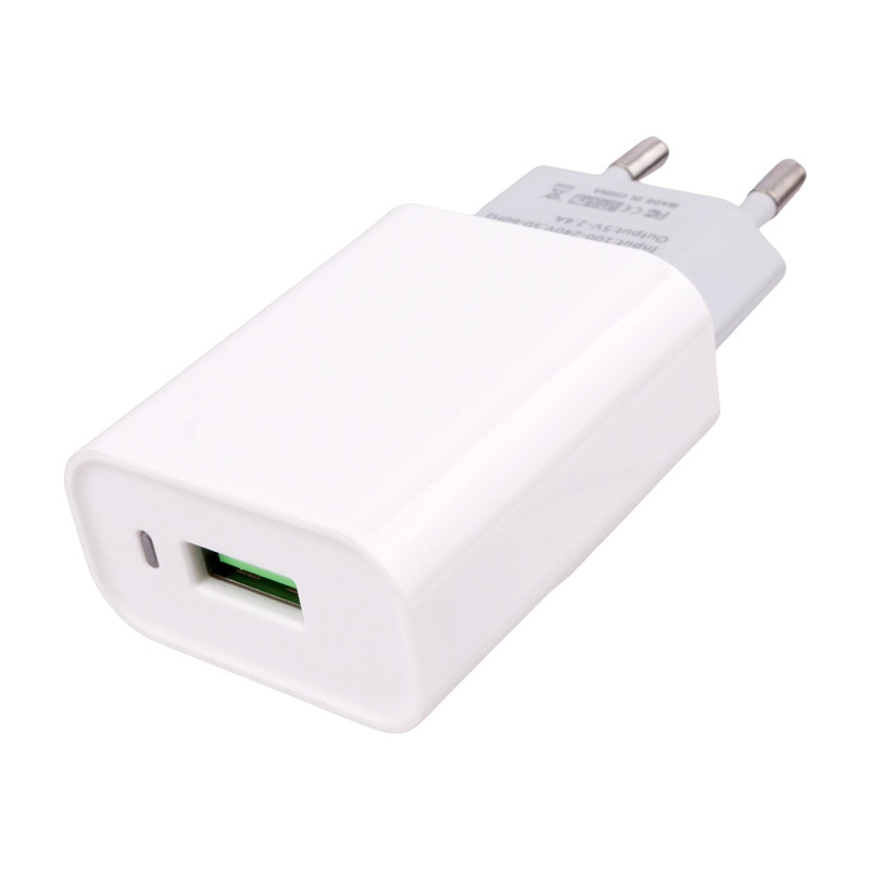 شارژر دیواری 12 وات نیتو NT-TC066 2.4A + کابل میکرو یو اس بی