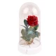 چراغ خواب USB طرح گل قرمز