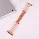 بند Watch Band اپل واچ 41/40/38mm کد 10