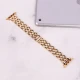 بند Watch Band اپل واچ 42/44/45mm کد 1